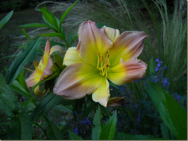 DSCN3843 DSCN3843