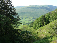 Just emerging from the wood and looking back down the valley (Tal-y-llyn, United Kingdom) Photo