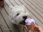 <3 Slideshow