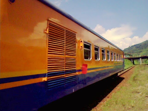 [Image: IMG0251A.jpg]