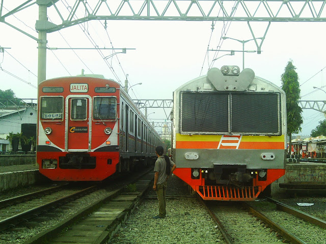 [Image: IMAG0042.JPG]