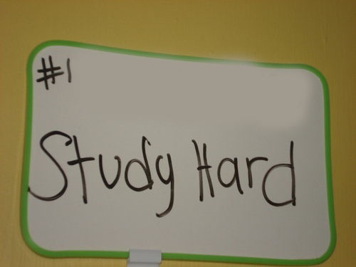 [study hard[4].jpg]