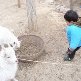 P1070790.JPG