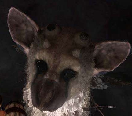 [the-last-guardian_sad-eyes[24].jpg]