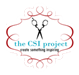 thecsiproject.com-logo-150