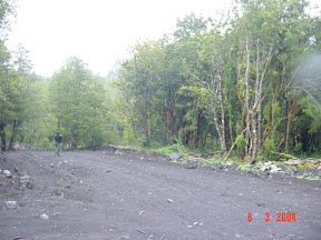 Dsc07.jpg