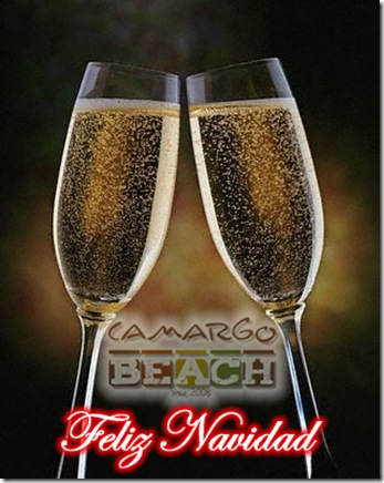 Brindis2
