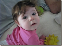 IMG_2209 IMG_2209