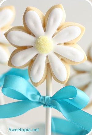 daisy cookie pop daisy cookie pop
