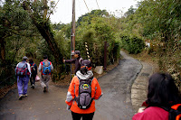 DSC_0390.JPG Photo