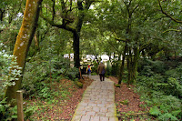 DSC_0464.JPG