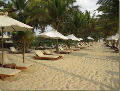 Beach beds
