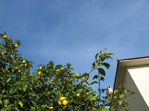 リスボンのそら