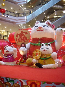 DSC09606