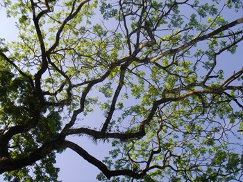 DSC09775