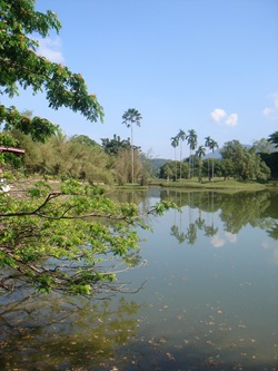 DSC09788