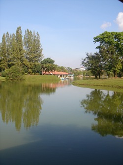 DSC09807