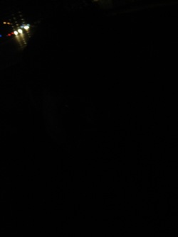 DSC05105