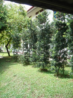 DSC05868