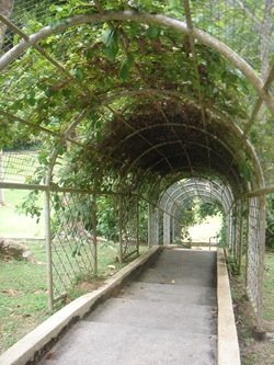 DSC01286