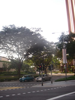 DSC01734