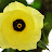  &ndash;  &ndash; 30-Jan-2009