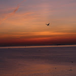 IMG_0036.jpg