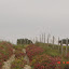 San Luca - Montalto - Roccaforte del Greco