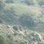Papisca - Fossato