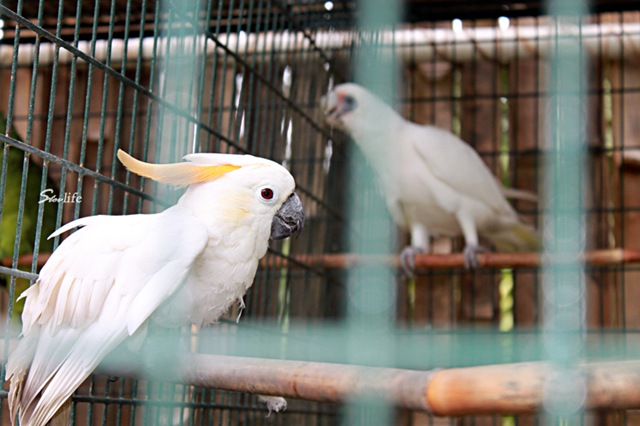 [IMG_9757copy2.jpg]