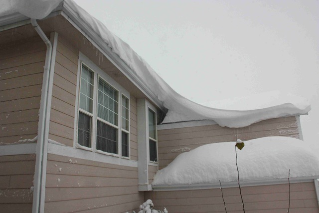[snow1[3].jpg]