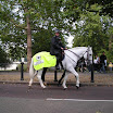 DSCN3607 (Medium).JPG