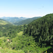 IMG_0805.jpg