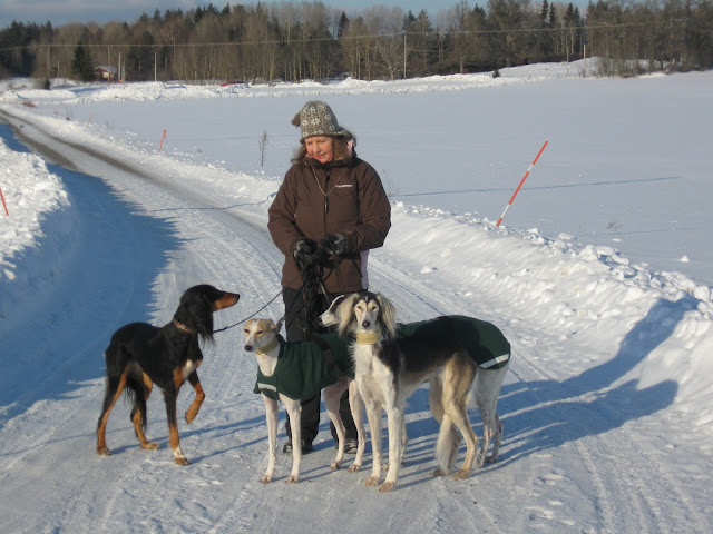 sn&ouml;