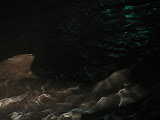 PICT0023.JPG
