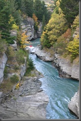 IMG_0572 IMG_0572