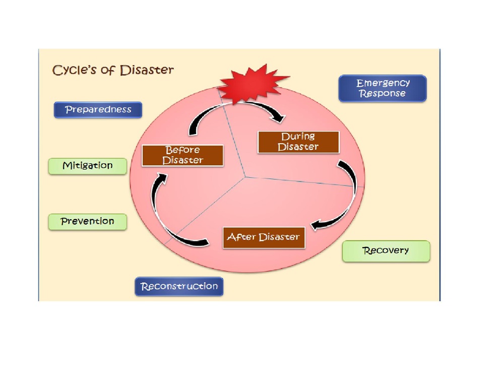 [disaster cycle1[10].jpg]