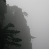 IMG_4275.JPG