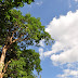 DSC_0007.JPG