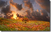 Landscape 1440x900  widescreen wallpapers (9)