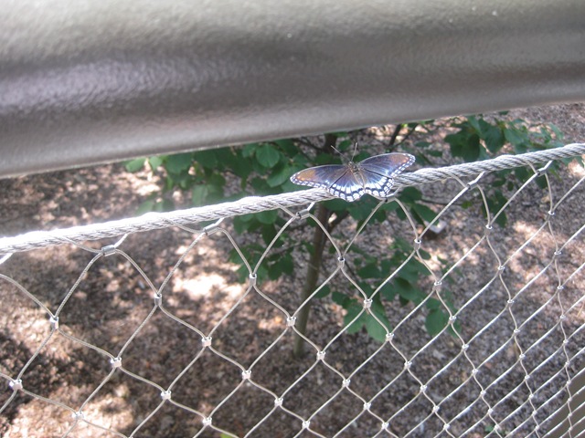 [IMG_30452.jpg]
