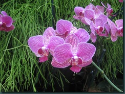 IMG_3064 IMG_3064