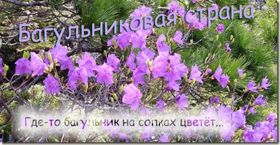 IMGP30381111112