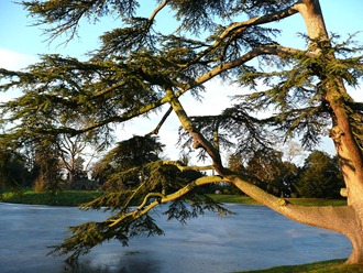 Croome park