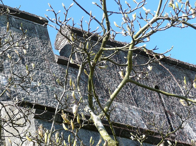 Penhryn Castle