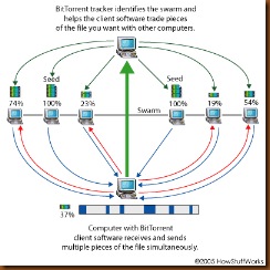 bitTorrent1