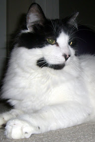 2006-05-20_17-34-12.JPG