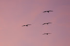 2009.11.22_17.07.17.JPG
