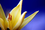 2009.12.03_16.44.01.JPG