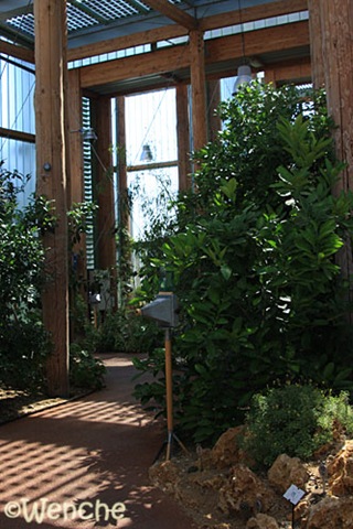 [IMG_64882.jpg]